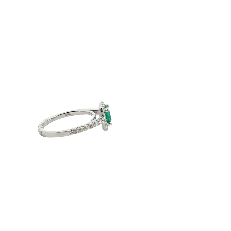 Emerald Halo Cocktail Ring in White Gold