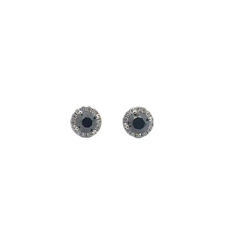 White Gold Fancy Black Diamond Halo Stud Earrings