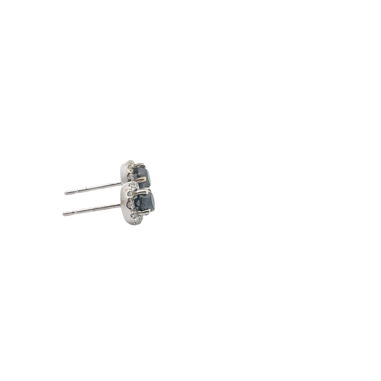 White Gold Fancy Black Diamond Halo Stud Earrings